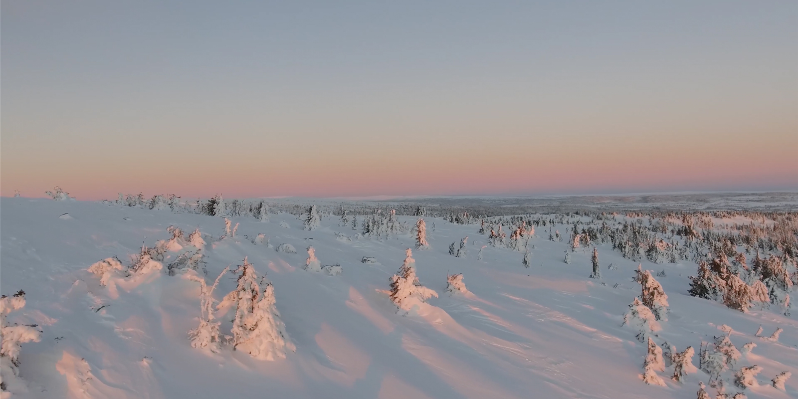 Verschneite Winterlandschaft